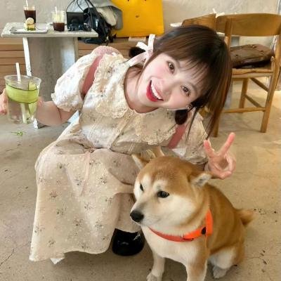 我的天才宝贝国语